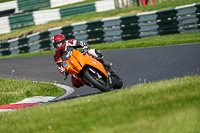Lower Group Orange Bikes